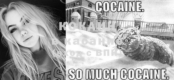 мяу мяу мука Ельня